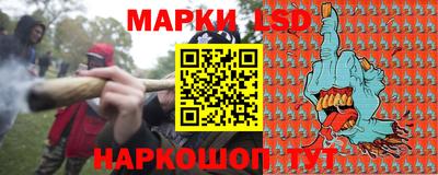 крисы Малгобек