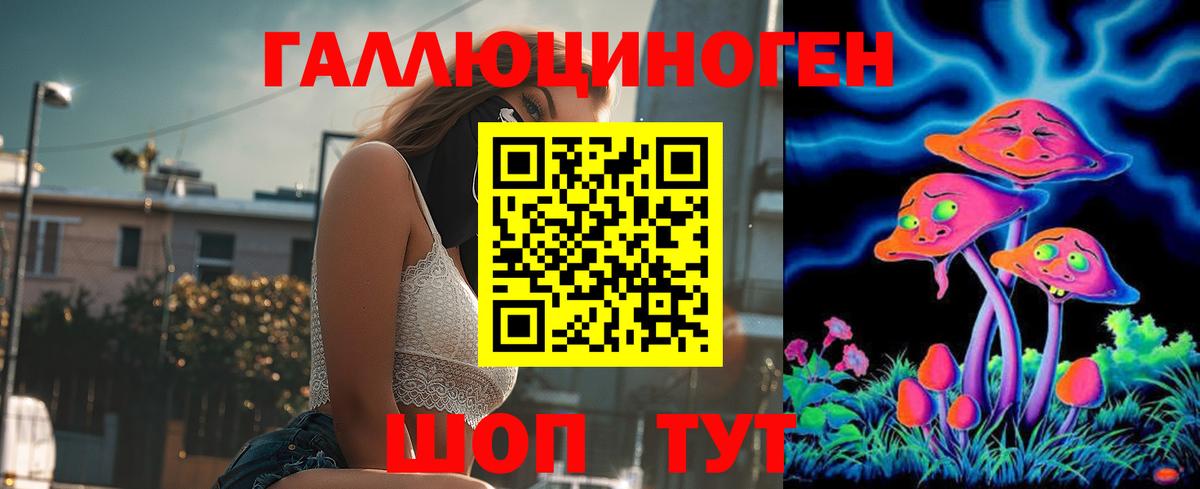 Галлюциногенные грибы Cubensis  Вход с VPN  Городец 
